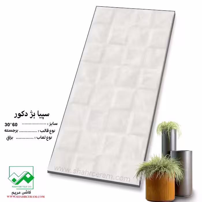 سرامیک سپیا بژ دکور 60*30 کاشی مریم