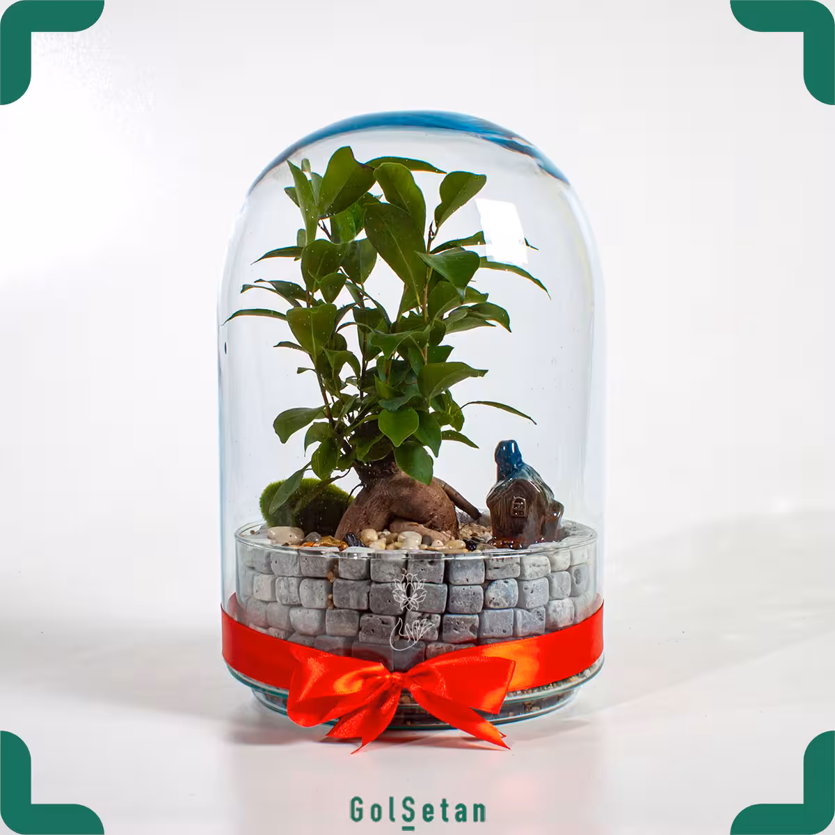 تراریوم بونسای با تم قلعه کد S15