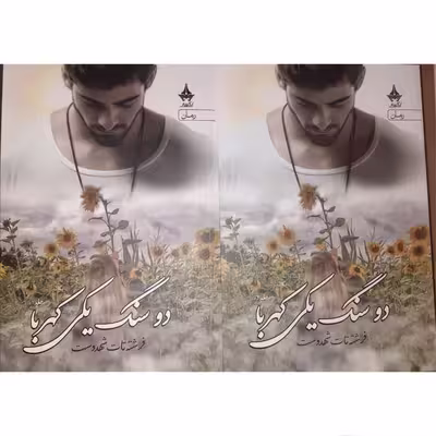 کتاب دو سنگ یکی کهربا اثر فرشته تات شهدوست انتشارات آراسبان دوره 2 جلدی
