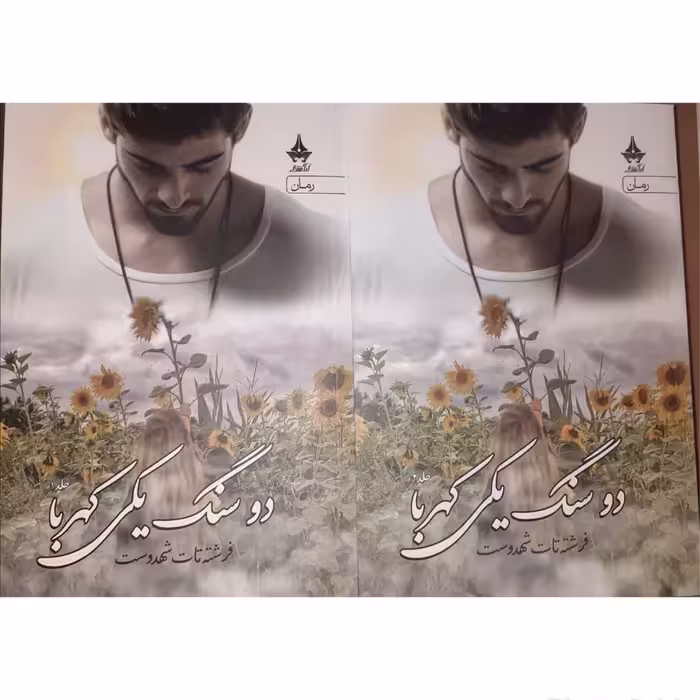 کتاب دو سنگ یکی کهربا اثر فرشته تات شهدوست انتشارات آراسبان دوره 2 جلدی