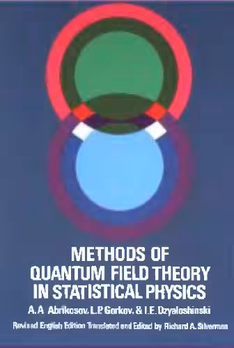 خرید و دانلود نسخه کامل کتاب Quantum Field Theoretical Methods in Statistical Physics