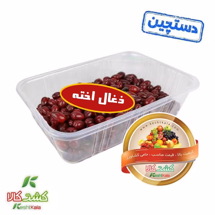 زغال اخته دستچین 1000 گرمی