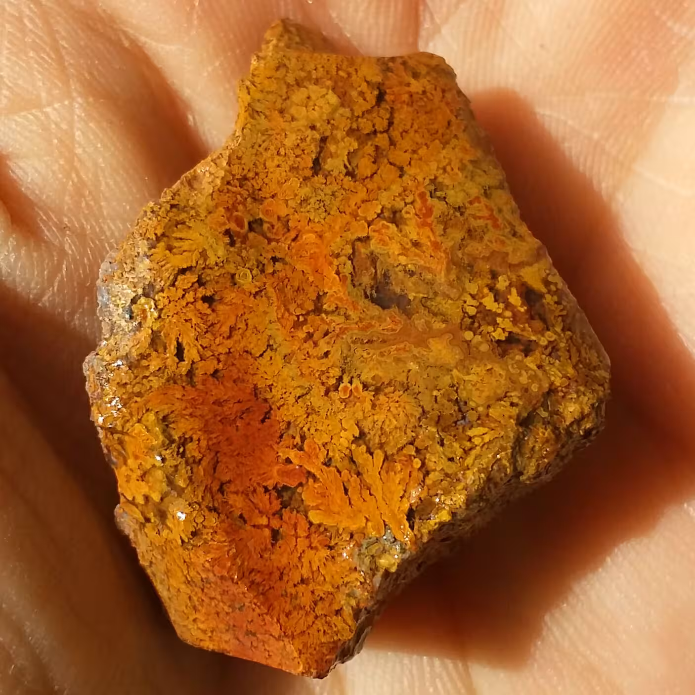 سنگ راف شجر پاییزی بی نظیر دیدنی 100درصد طبیعی محشششر خاص