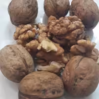  گردوی پوست کاغذی ، روغنی ، بسیار خوش طعم ، تازه ، یکدست ، کیفیت عالی.