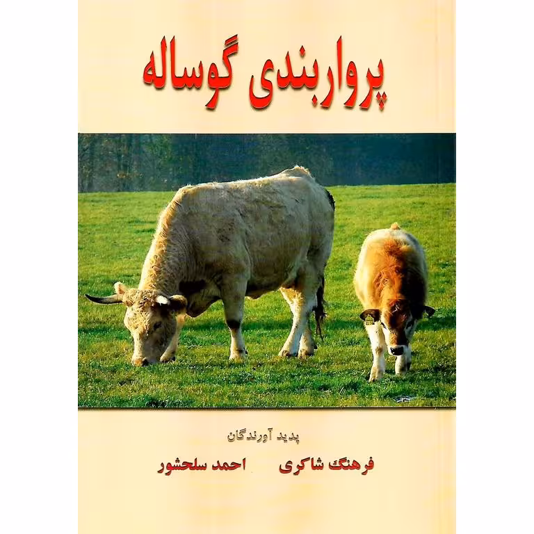 پرواربندی گوساله