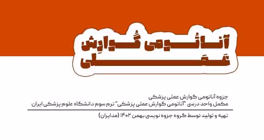 جزوه آناتومی گوارش عملی پزشکی مکمل واحد درسی آناتومی گوارش عملی پزشکی 1402