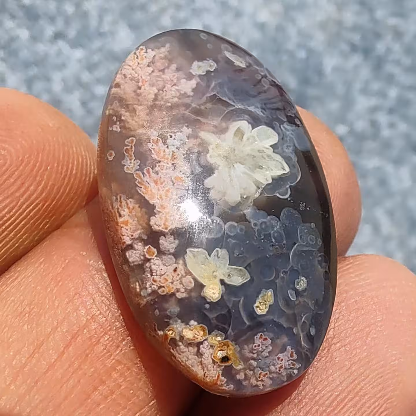 عقیق شجر هفت رنگ کلکسیونی ناب