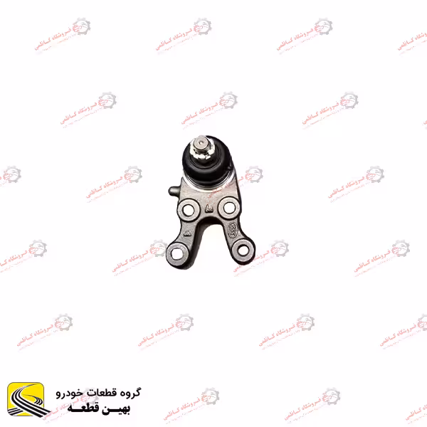 سیبک طبق راست لاماری