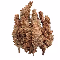 سماق خوشه ای قهوه ای 500 گرمی گیاهینو قیمت ویژه و مناسب کیفیت عالی