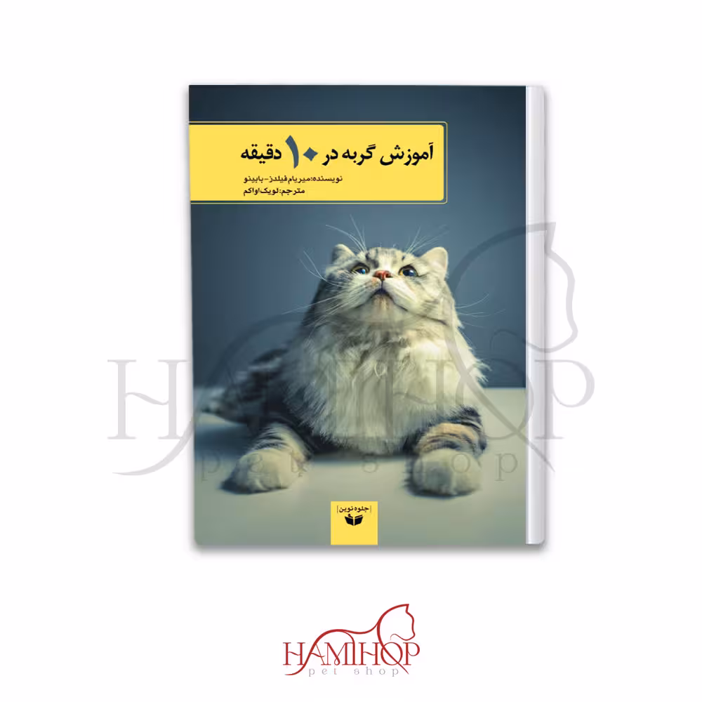 اموزش گربه در 10 دقیقه لویک اواکم