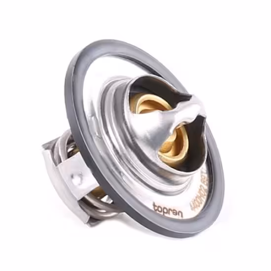 ترموستات مگان 2000