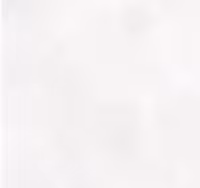 سرامیک ریوان کوئتا پرل 120*260