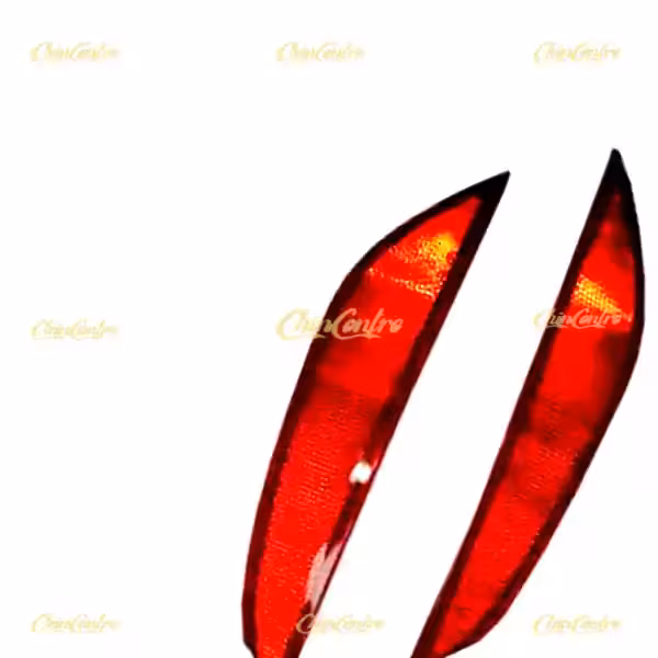 مه شکن عقب(320-R)