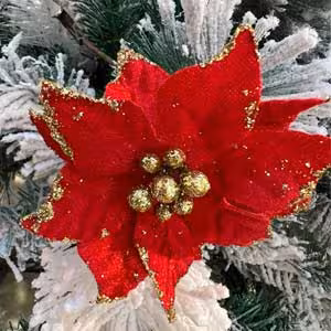 شاخه گل کریسمس بنت قنسول گیره دار