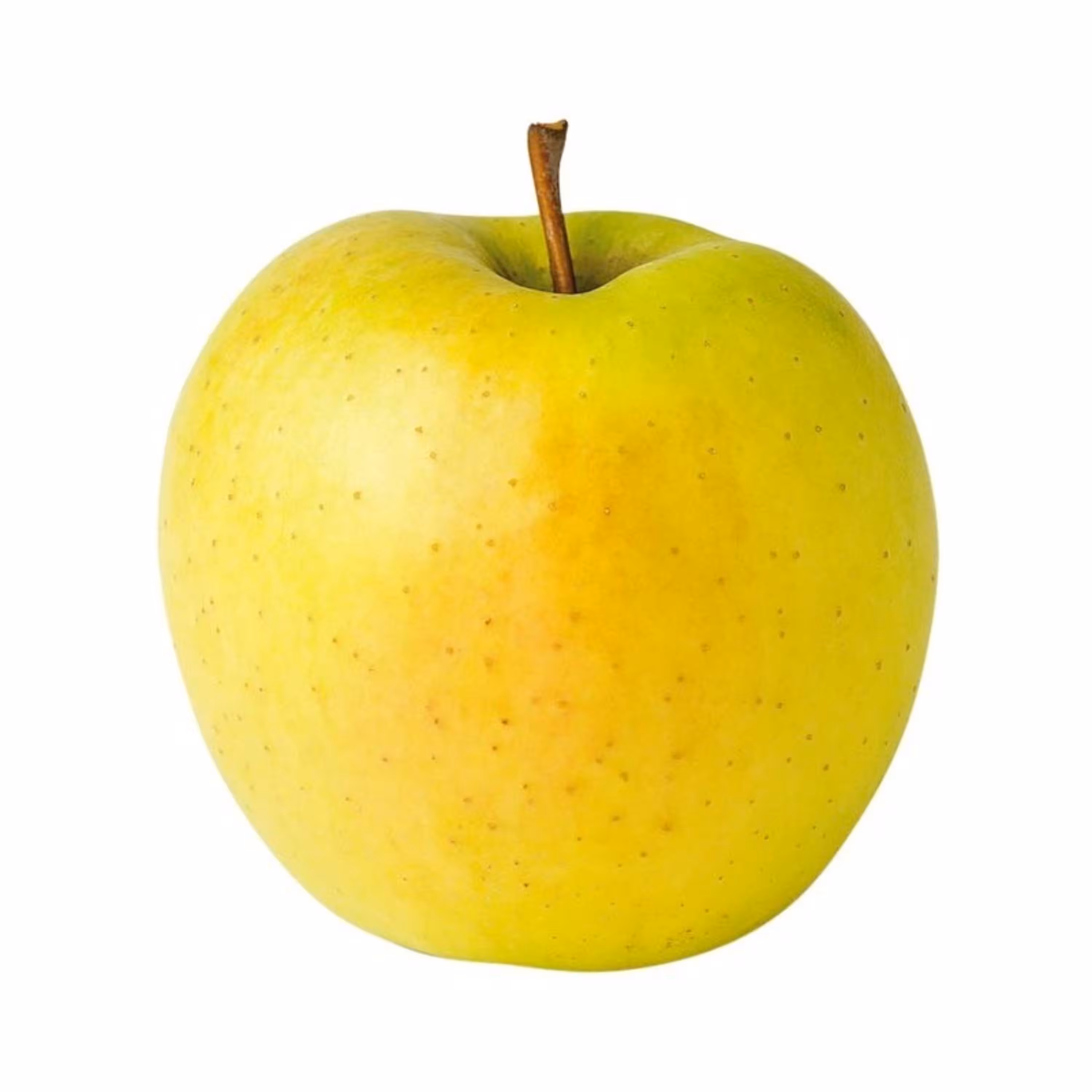 بذر سیب زرد 10 عددی 