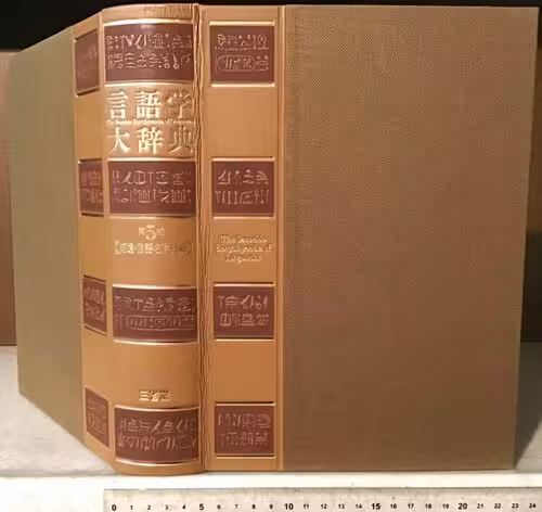 خرید و دانلود نسخه کامل کتاب 言語学大辞典 第5巻 補遺