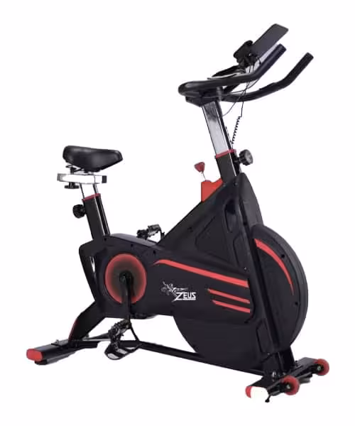 خرید اسپینینگ خانگی پرقدرت زئوس مدل 601