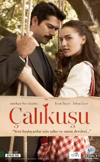 سریال ترکی چکاوک Calıkusu با دوبله فارسی