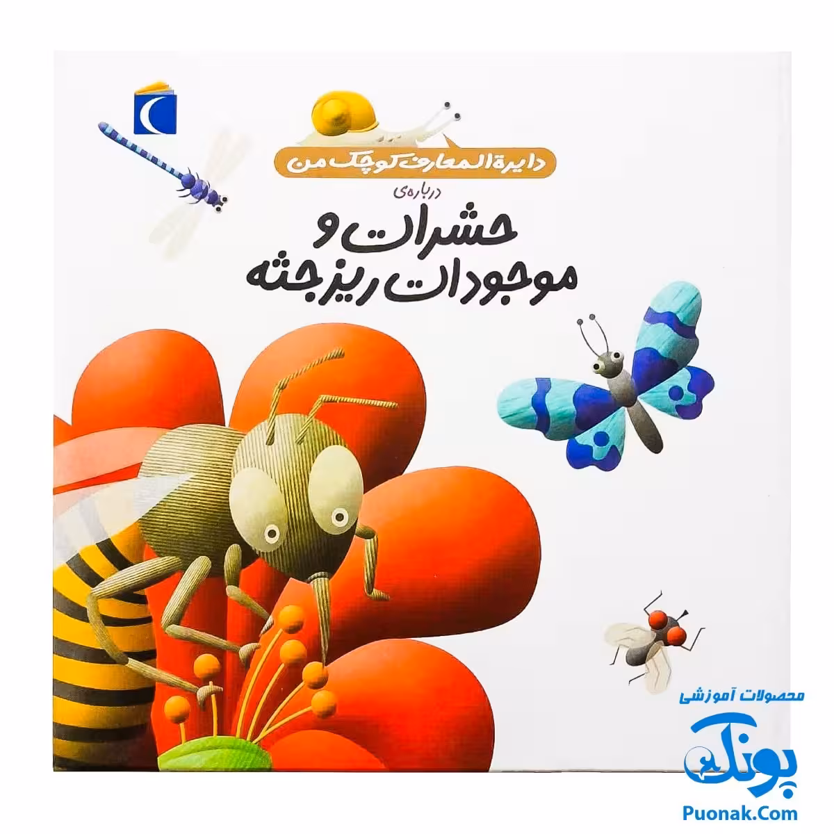 کتاب دایره المعارف کوچک من درباره حشرات و موجودات ریز جثه