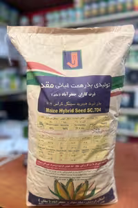 بذر ذرت هیبرید سینگل کراس 704