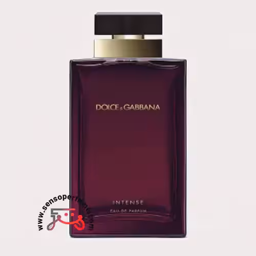 عطر ادکلن دی اند جی دلچه گابانا پور فم اینتنس | dolce gabbana pour femme intense