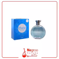 ادو تویلت مردانه ساپیل مدل chichi حجم 100 میلی لیتر