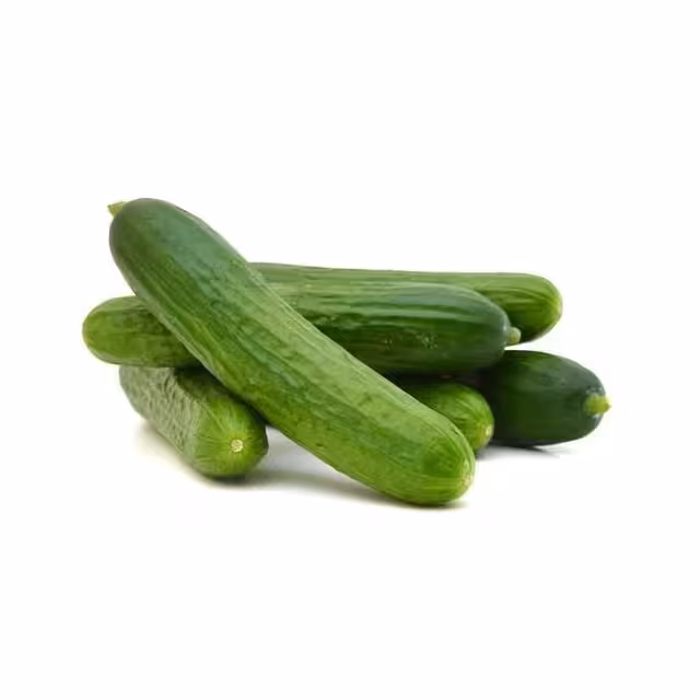خیار بومی شمال درجه یک 1000 گرمی
