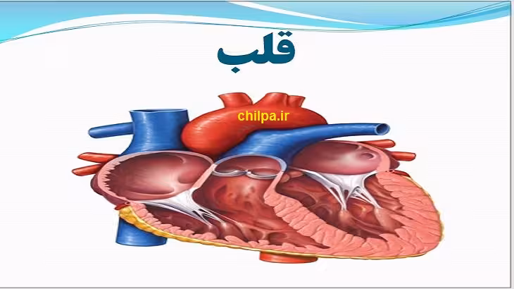 پاورپوینت فصل 14 گردش مواد - چیلپا