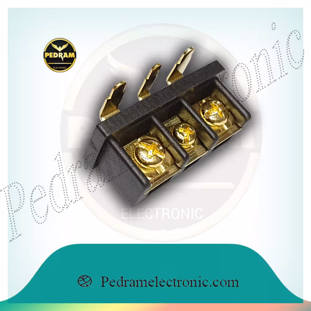 سوکت برق آمپلی فایر مشکی طلایی