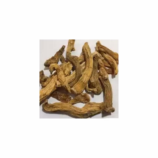 شقاقل یا هویج وحشی (50 گرم)
