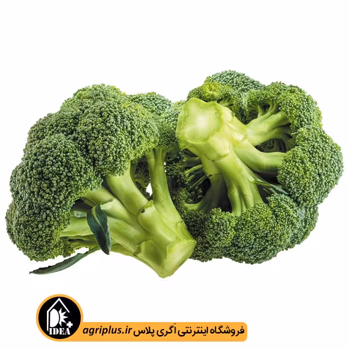 بذر کلم بروکلی بسته بندی خانگی