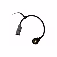 ناک سنسور کیا ریو