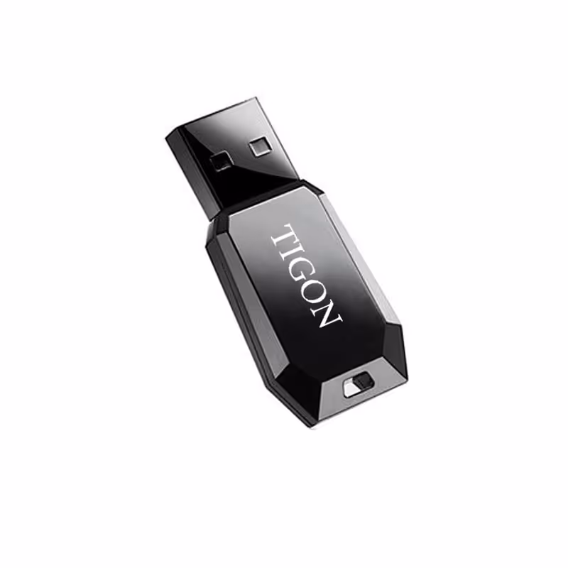 فلش مموری تایگون مدل P300 ظرفیت 16 گیگابایت
