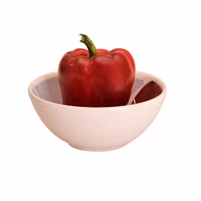 کاسه مدل sf-00100 طرح ماهی