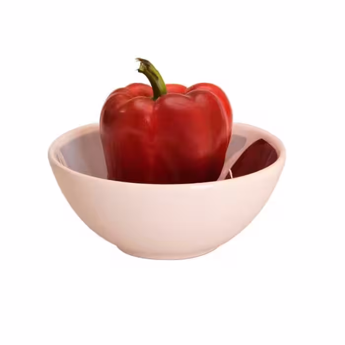 کاسه مدل sf-00100 طرح ماهی