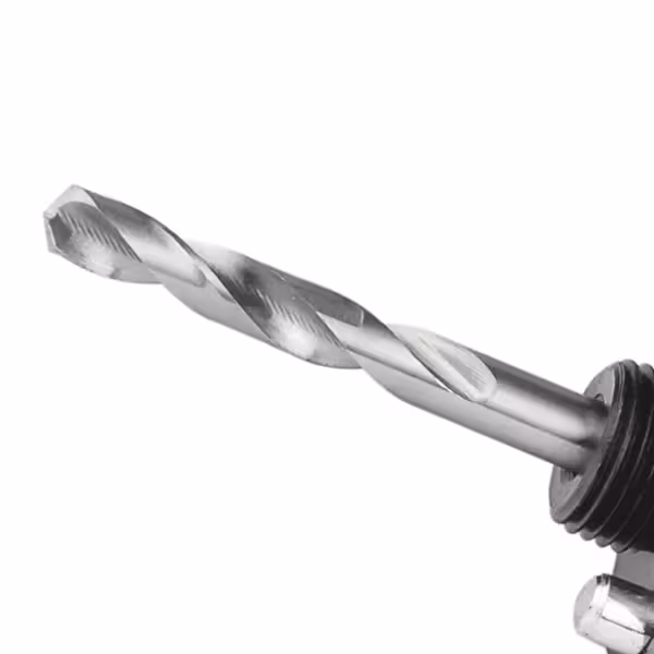 دنباله گردبر بزرگ