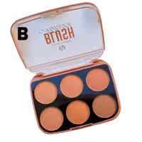 پالت رژ گونه رومانتیک برد _ سری B