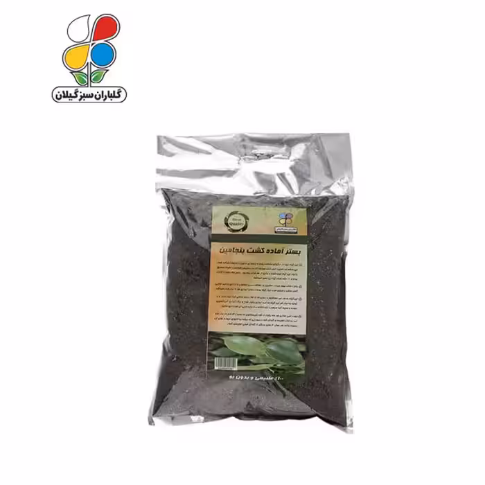 بستر آماده کشت بنجامین بسته 2 کیلوگرمی ( بسته 36 عددی )