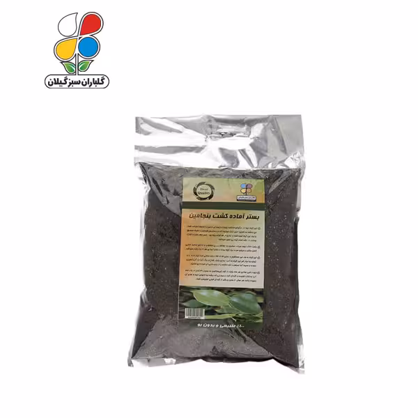 بستر آماده کشت بنجامین بسته 2 کیلوگرمی ( بسته 36 عددی )