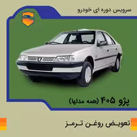 تعویض روغن ترمز انواع پژو 405 با دستگاه در تهران