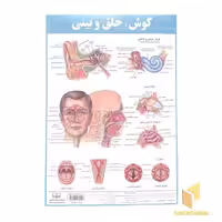کتاب کالبد شناسی گوش، حلق و بینی اثر حمیدرضا بیات نشر اندیشه کهن