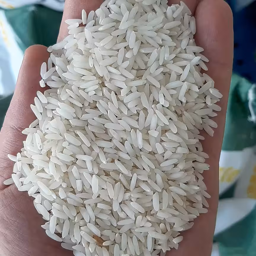 برنج هاشمی