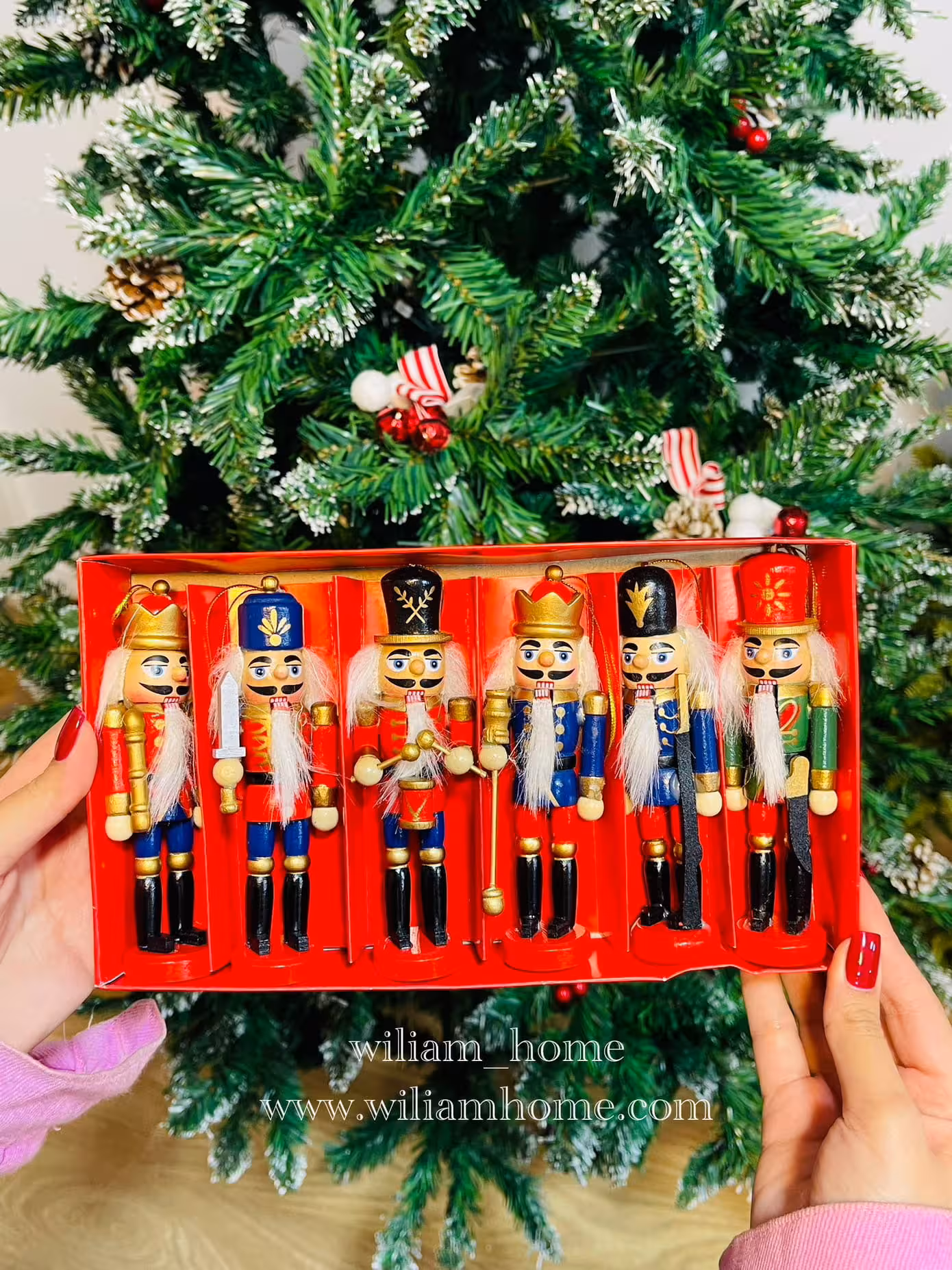 آویز سرباز فندق شکن‌ کریسمس،6 عددی B