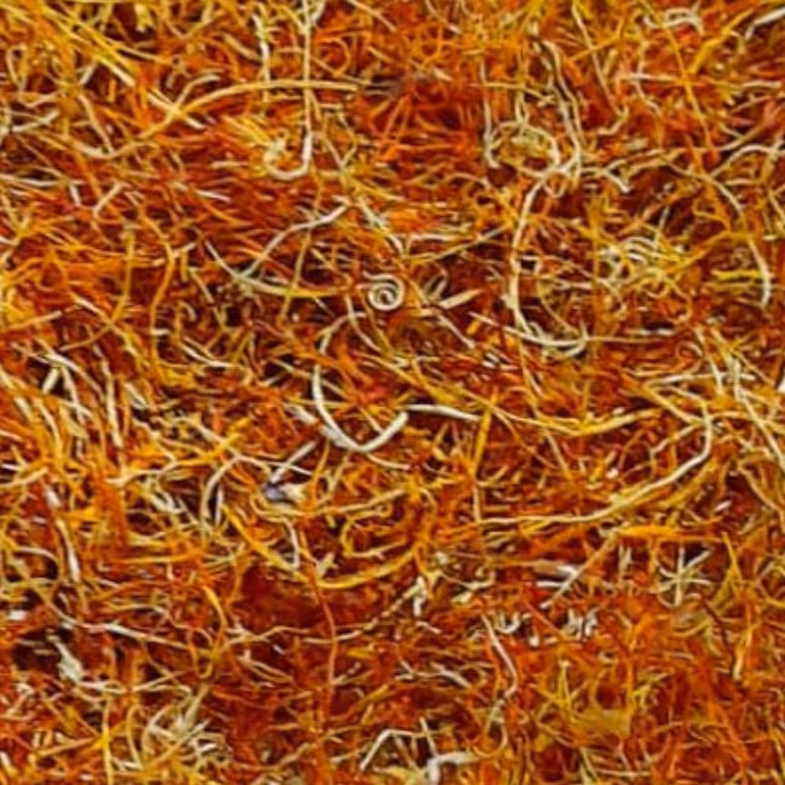 ریشه زعفران