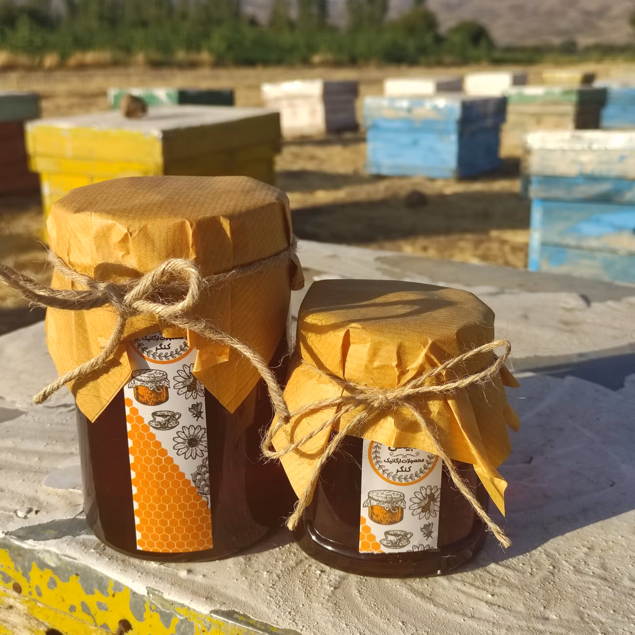 عسل کنار طبیعی یک کیلویی