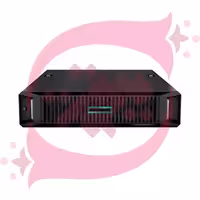 HPE DL145 G11 8124P 1P 2x32GB 2SFF NS204i MR216 2x700W PS P79813-DM5