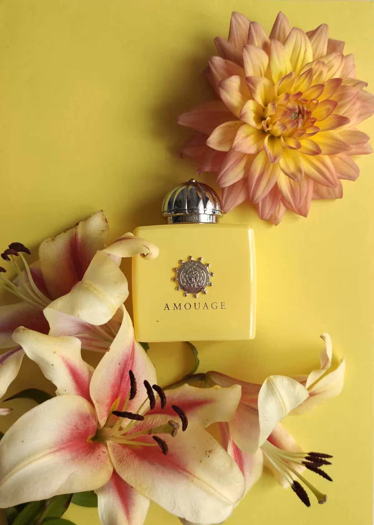 عطر ادکلن آمواج لاو میموسا اصل | Amouage Love Mimosa 100 ml