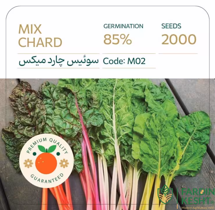 بذر سوئیس چارد میکس بسته 1000 عددی راشا ⭐
