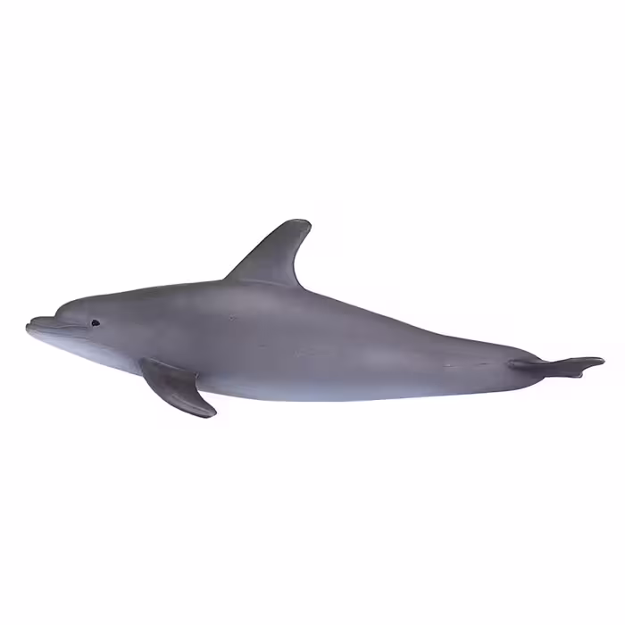 فیگور دلفین پوزه بطری MOJO Bottlenose Dolphin