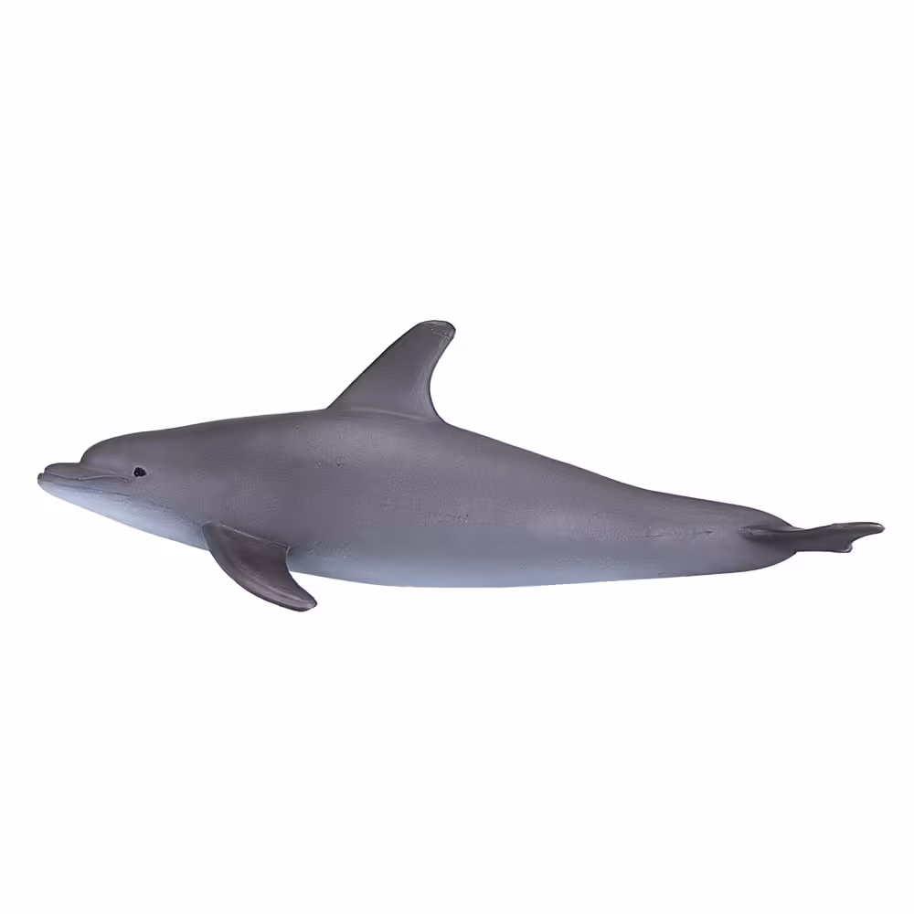 فیگور دلفین پوزه بطری MOJO Bottlenose Dolphin